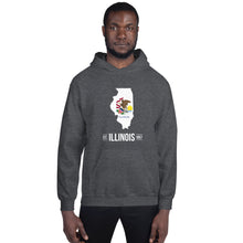 Men's Hoodie - Illinois - State Flag