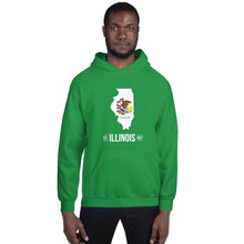 Men's Hoodie - Illinois - State Flag